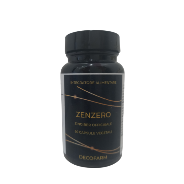 ZENZERO